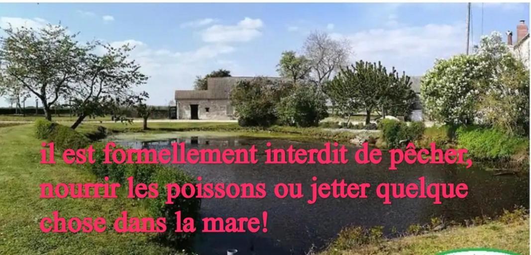 Gîte Chez Jeannot Azay-le-Ferron Extérieur photo